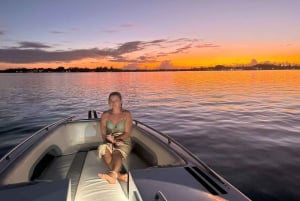 DAY TRIP: Private Speedboat Excursion in Mauritius