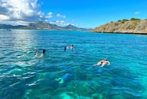 DAY TRIP: Private Speedboat Excursion in Mauritius