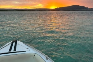 DAY TRIP: Private Speedboat Excursion in Mauritius