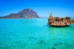 Découvrez l'île Maurice : Observation des dauphins, plongée en apnée, déjeuner barbecue