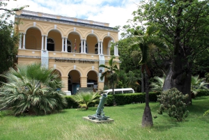 Discover Mauritius Full Day with Your Personal Driver-Guide