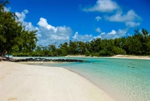 Discover Mauritius Full Day with Your Personal Driver-Guide