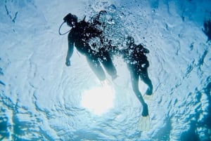 Discover Scuba Diving in BEL OMBRE