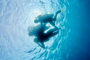 Discover Scuba Diving in BEL OMBRE