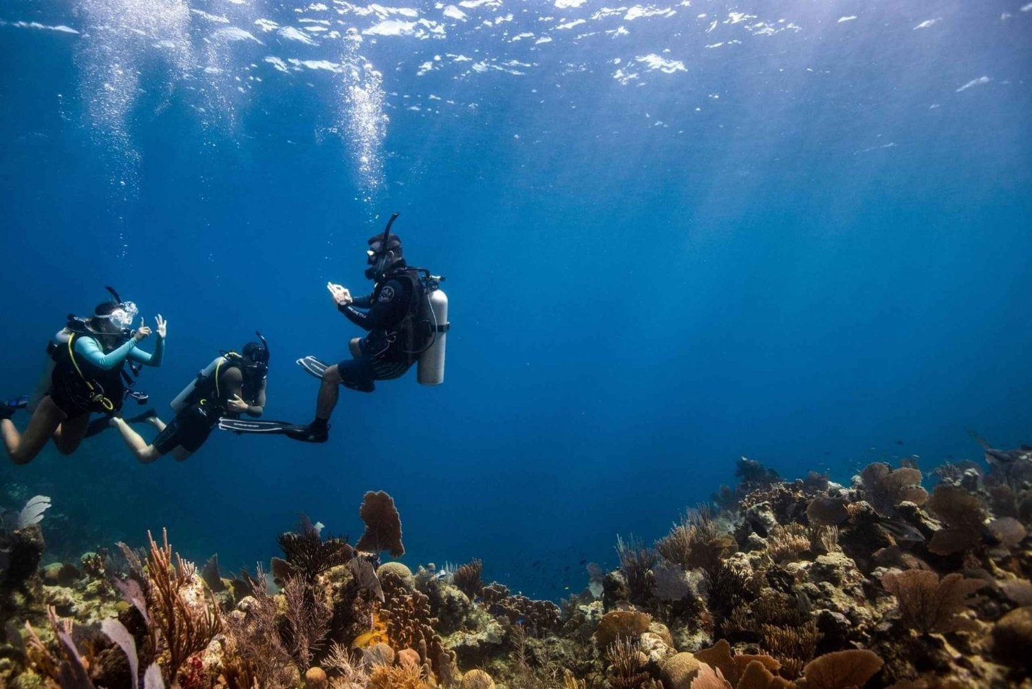 DISCOVER SCUBA DIVING IN LEMORNE with EasydiveMauritius