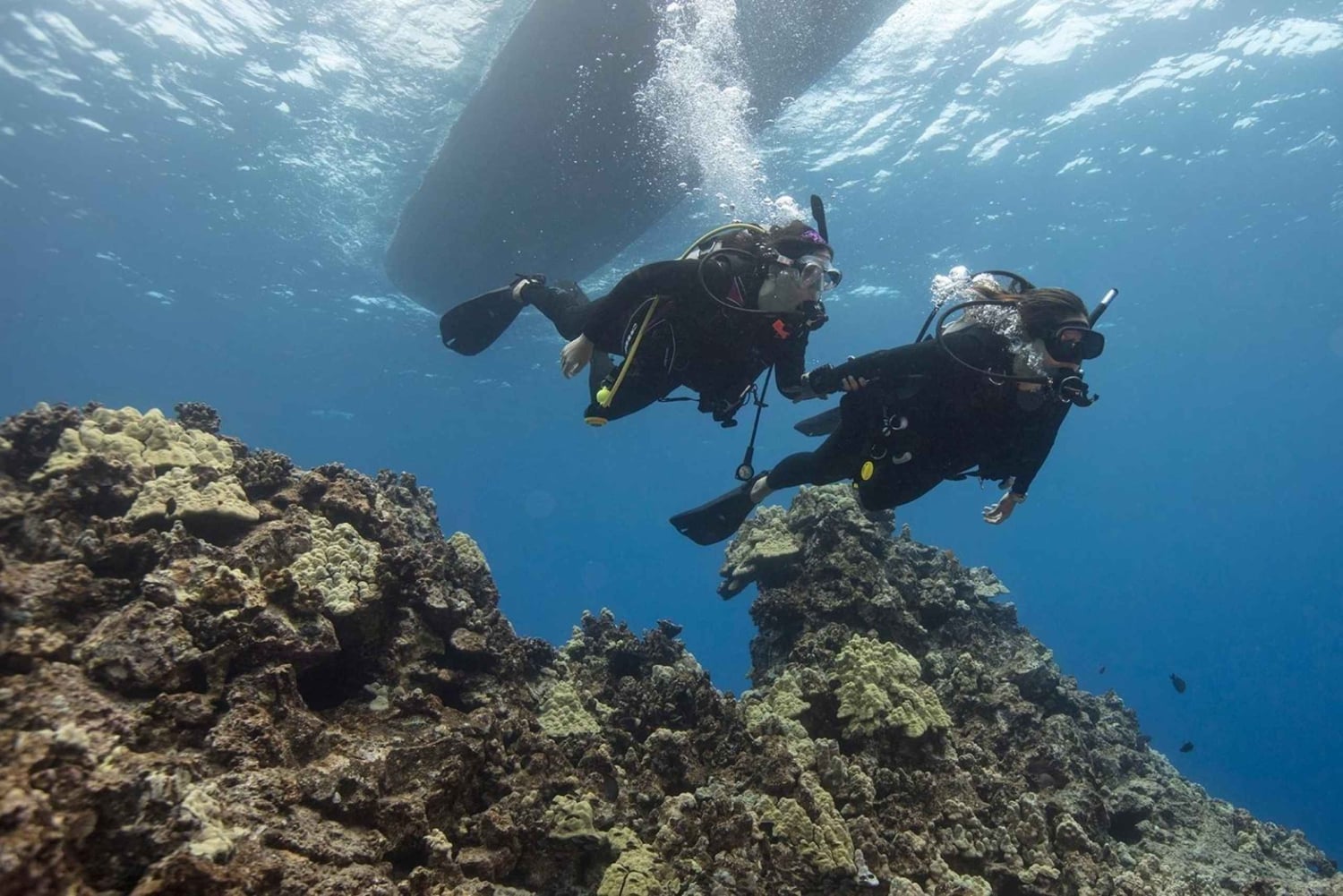 ENTDECKEN SIE DAS TAUCHEN IN LEMORNE mit EasydiveMauritius
