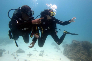 Tutustu sukeltamiseen LEMORNE:ssa EasydiveMauritiuksen kanssa.