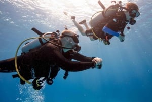 ENTDECKEN SIE DAS TAUCHEN IN LEMORNE mit EasydiveMauritius