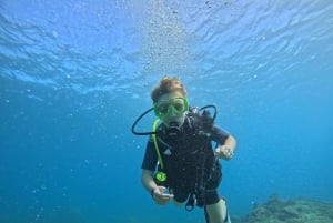ENTDECKEN SIE DAS TAUCHEN IN LEMORNE mit EasydiveMauritius