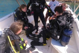 ENTDECKEN SIE DAS TAUCHEN IN LEMORNE mit EasydiveMauritius