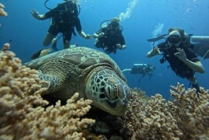 Discover Scuba Diving in the North of Mauritius