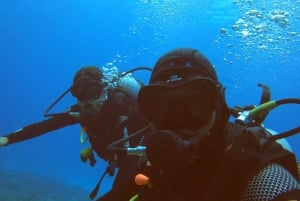 Discover Scuba Diving in the North of Mauritius