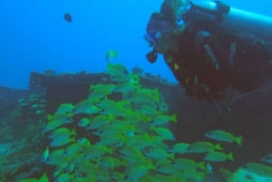 Discover Scuba Diving in the North of Mauritius