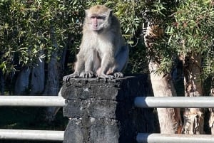 Discover the southwest part of mauritius like a vip