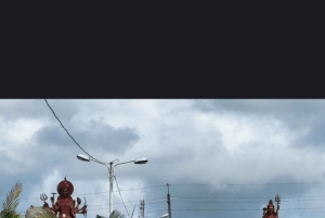 Discover the southwest part of mauritius like a vip