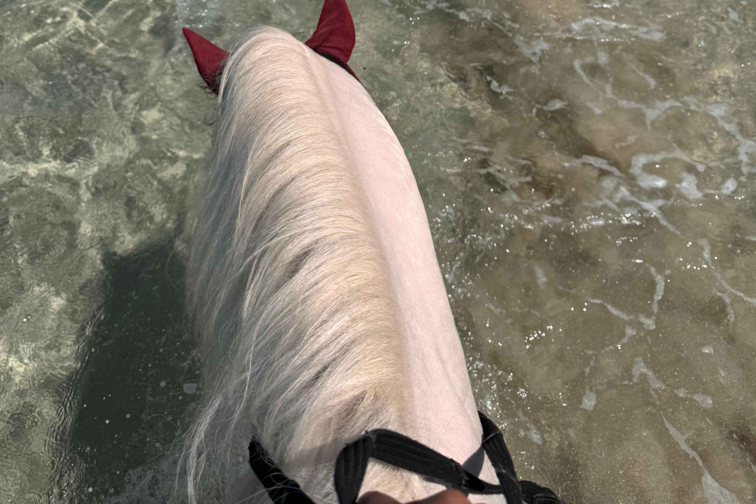 Het zuiden ontdekken. Paardrijden op het strand, watervalwandelingen.