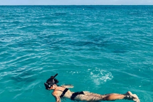 Rencontre avec des dauphins sauvages et plongée en apnée - Ile Maurice.