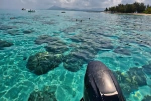 Rencontre avec des dauphins sauvages et plongée en apnée - Ile Maurice.