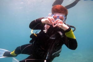 Diving in the North with Blue World Adventures