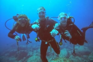 Diving in the North with Blue World Adventures