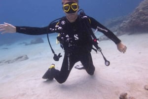 Diving in the North with Blue World Adventures