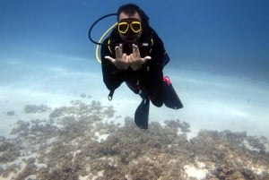 Diving in the North with Blue World Adventures