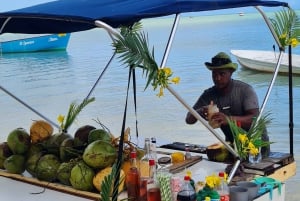 Delfini: privato, snorkeling, CrystalRock, ileoBenitiers, pranzo