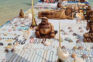 Delfini: privato, snorkeling, CrystalRock, ileoBenitiers, pranzo