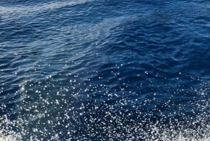 Delfini: privato, snorkeling, CrystalRock, ileoBenitiers, pranzo