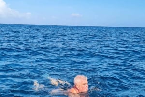 Delfini: privato, snorkeling, CrystalRock, ileoBenitiers, pranzo