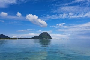 Delfini: privato, snorkeling, CrystalRock, ileoBenitiers, pranzo