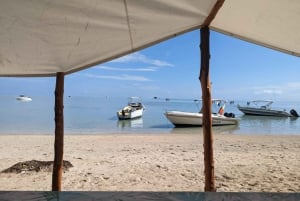 Delfini: privato, snorkeling, CrystalRock, ileoBenitiers, pranzo