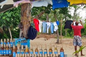 Delfini: privato, snorkeling, CrystalRock, ileoBenitiers, pranzo