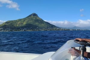 Golfinhos e baleias, tour particular Snorkeling