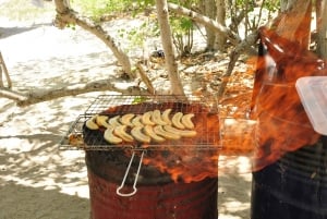 Delfiner, hvaler, snorkling og frokost på Benitiers Island