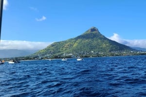 Delfines, ballenas, snorkel y almuerzo en la isla de Benitiers