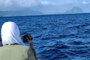 Delfines, ballenas, snorkel y almuerzo en la isla de Benitiers