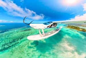 Côte Est de l'île Maurice visite privée en hydravion panoramique