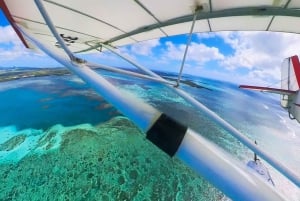 Côte Est de l'île Maurice visite privée en hydravion panoramique