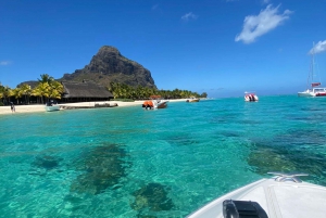 Mauritius Le Morne: Eco-Friendly Dolphin Watching Tour