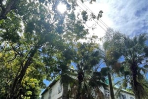 Embark on an Enchanting Excursion : Mahebourg Marvels