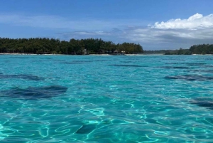 Embark on an Enchanting Excursion : Mahebourg Marvels