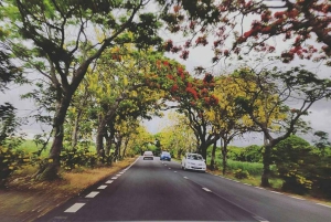 Embark on an Enchanting Excursion : Mahebourg Marvels