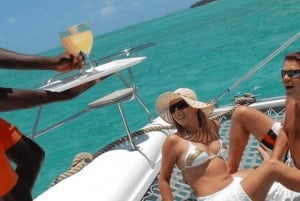 Profitez d'une journée de détente en catamaran à l'île aux Cerfs.