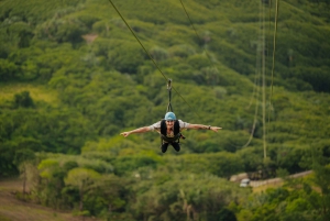 Île Maurice : Forfait Argent Individuel au Parc Vallé Advenature