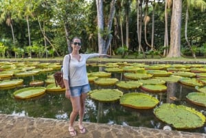 Explore o melhor das Maurícias: excursão guiada de 1 dia de carro