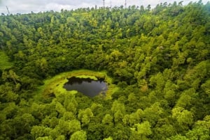Explore o melhor das Maurícias: excursão guiada de 1 dia de carro