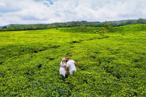 Explore o melhor das Maurícias: excursão guiada de 1 dia de carro
