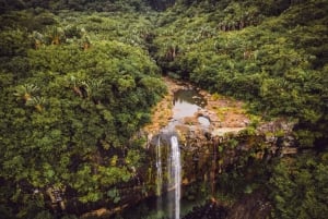 Explore o melhor das Maurícias: excursão guiada de 1 dia de carro