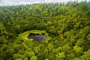 Scopri il meglio di Mauritius: tour guidato di un giorno in auto